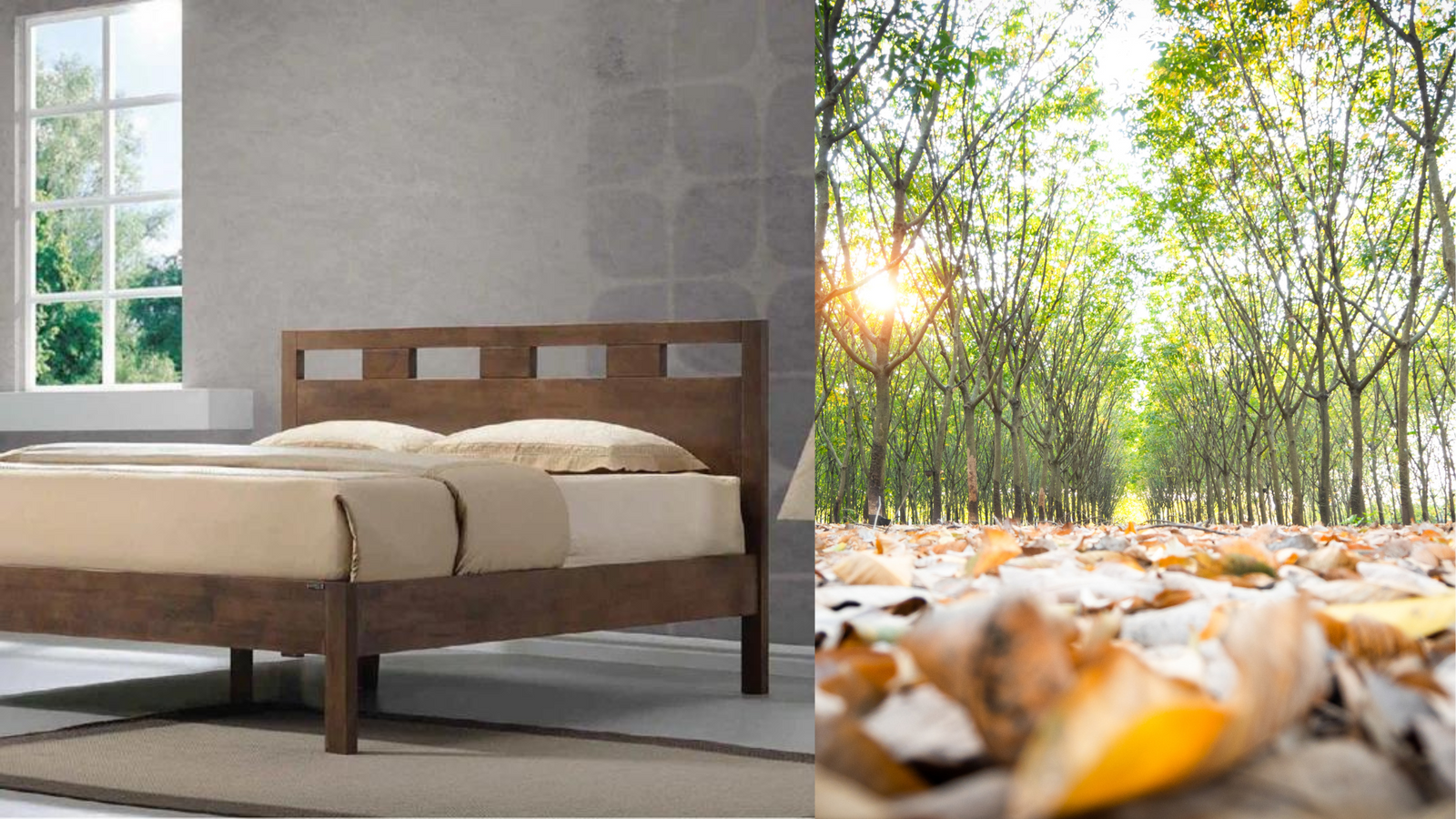 Eco-Friendly and Sustainable Choices: Why Solid Wood Beds Matter