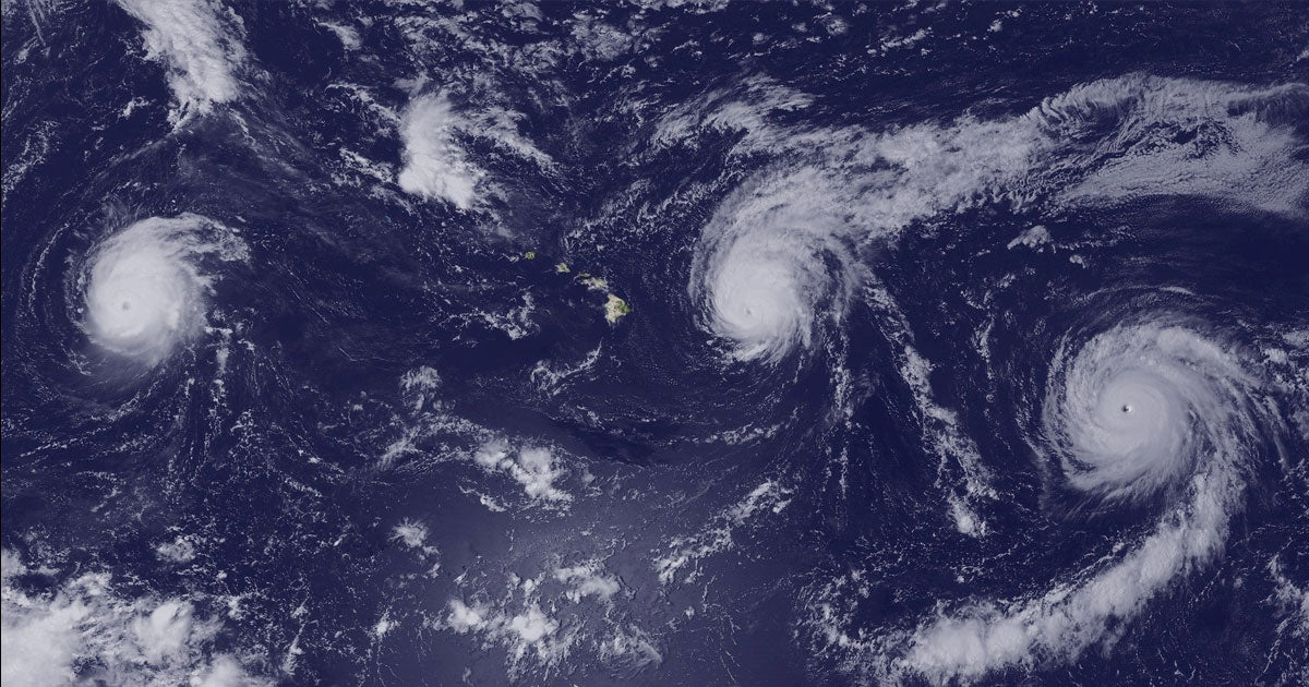 How to Support our Retailers Weather the Corona Storm - Picket&Rail Furniture, Art & Baby Family Store