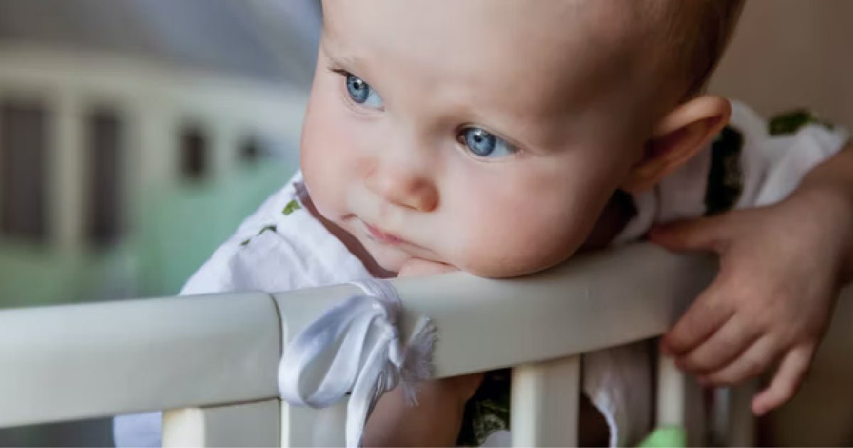 This Cot Is Banned In The USA - Picket&Rail Furniture, Art & Baby Family Store