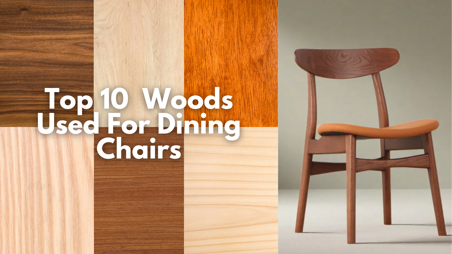 Top 10 Types Of Wood Used For Making Dining Chairs