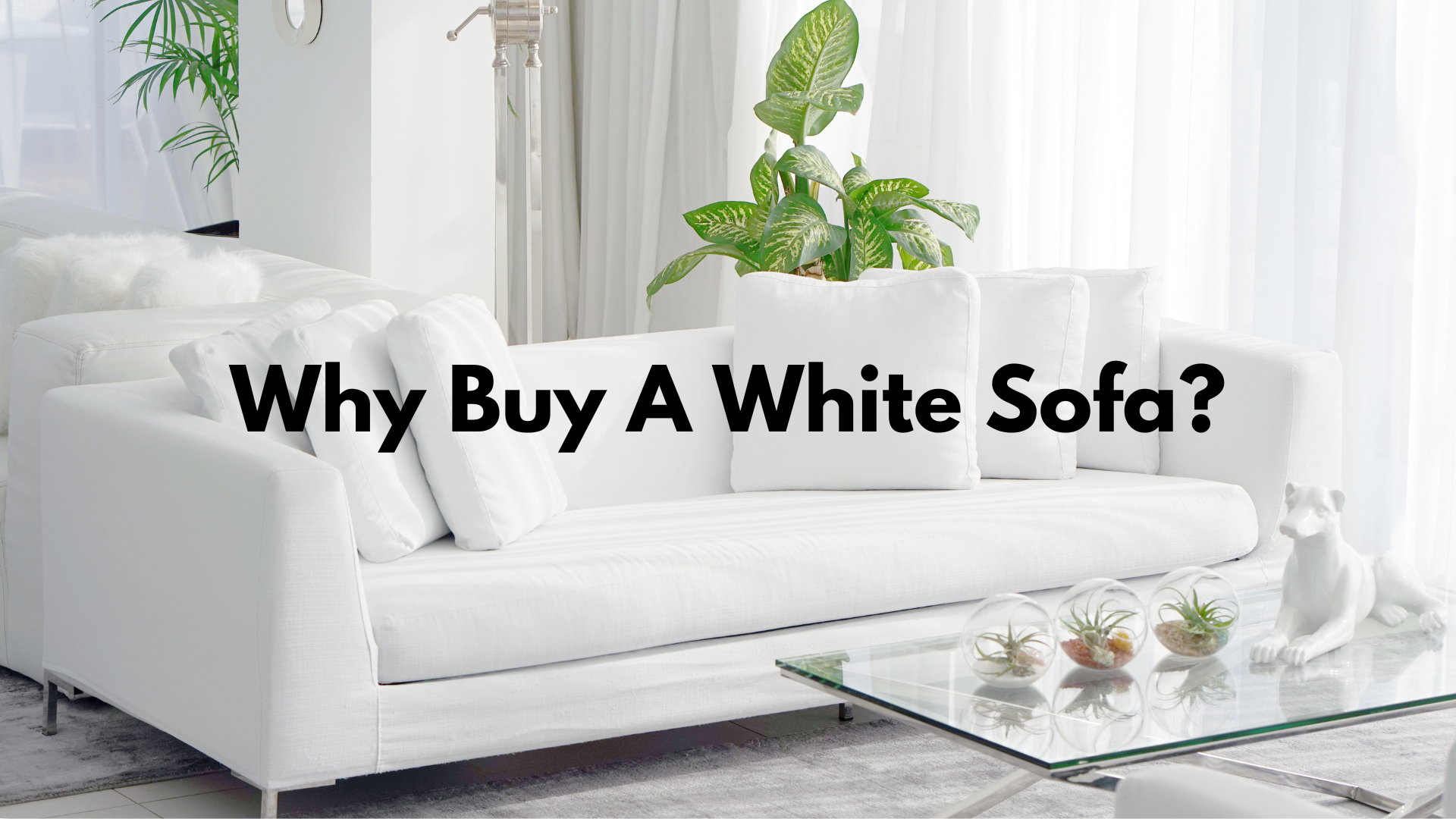 Ten Good Reasons  To Buy a White Leather Sofa Or Recliner?