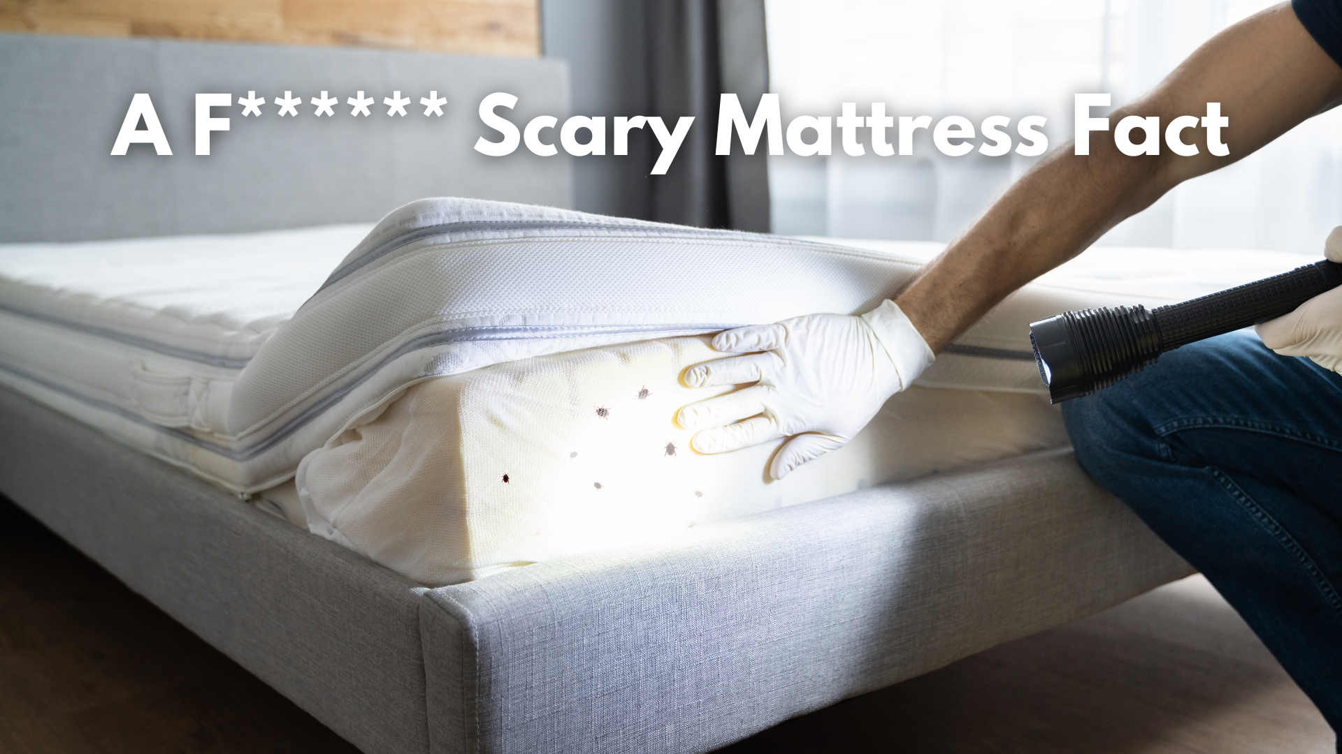 A F****** Scary Mattress Fact - Picket&Rail Furniture, Art & Baby Family Store