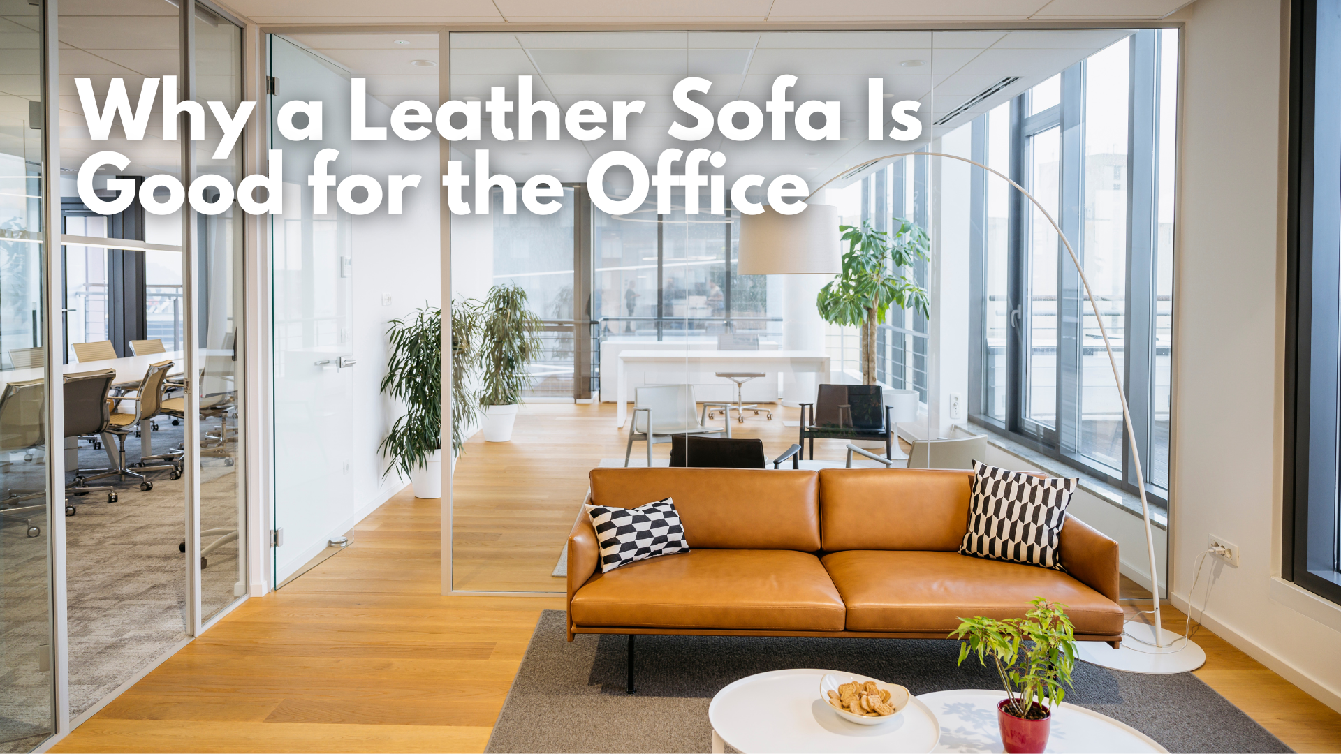 10 Reasons Why a Leather Sofa Is Good for the Office