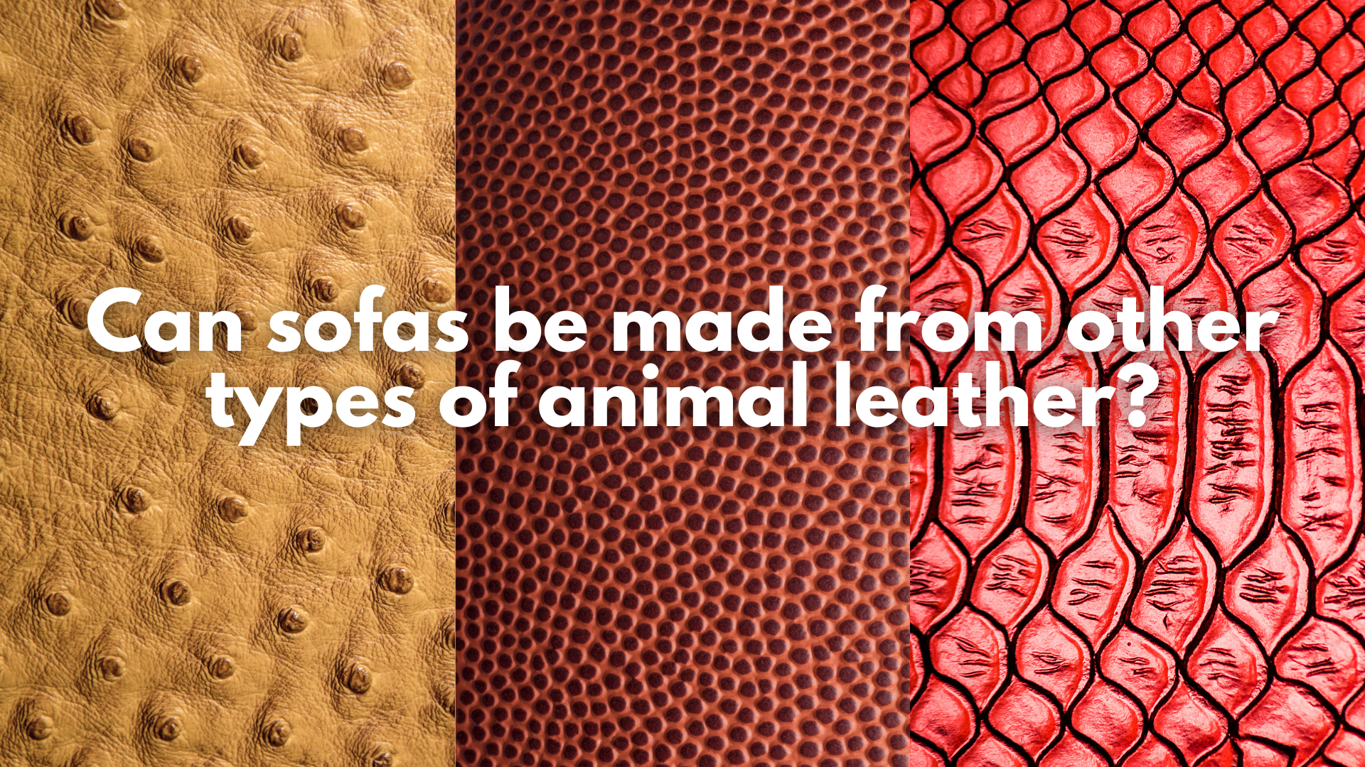 Can sofas be made from other types of animal leather?