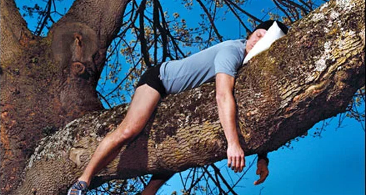 Tree Sleep Is It Better To Sleep On A Wooden Bed? - Picket&Rail Custom Sofas ...