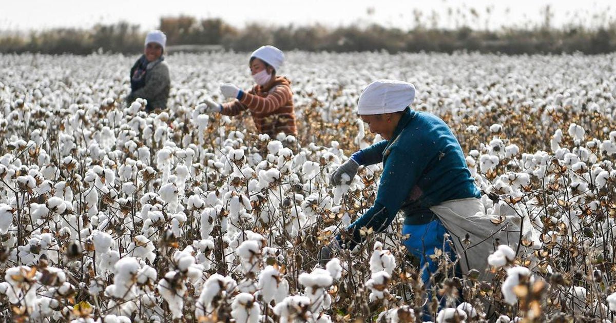 Why Cotton is So Yesterday - Picket&Rail Furniture, Art & Baby Family Store