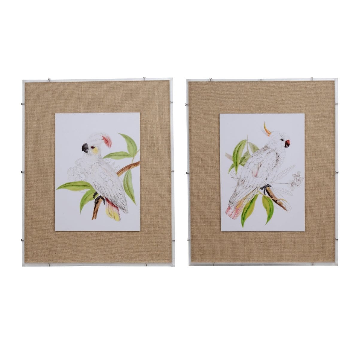 AB-42101 WHITE COCKATOO FRAMED PRINTS picket and rail