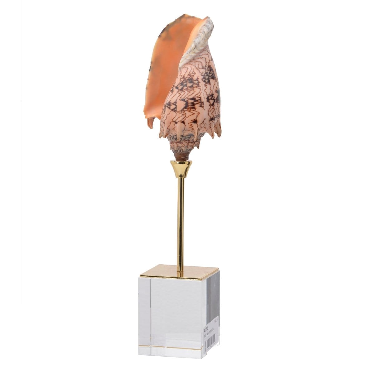 AB-42495 SEASHELL DéCOR ON STAND picket and rail