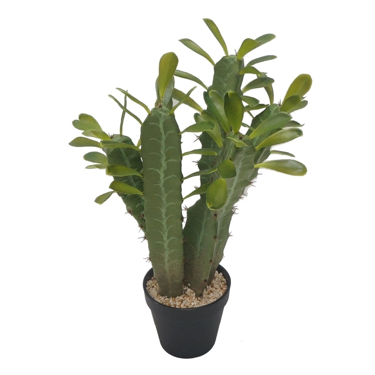 AB-F29565 Potted Faux Blossoming Cactus -Large picket and rail