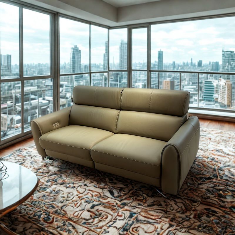 Americana 3-Seater (RN0949) 2.04m Zero Gravity Full Top Grain Leather Electric Recliner Sofa (I) picket and rail