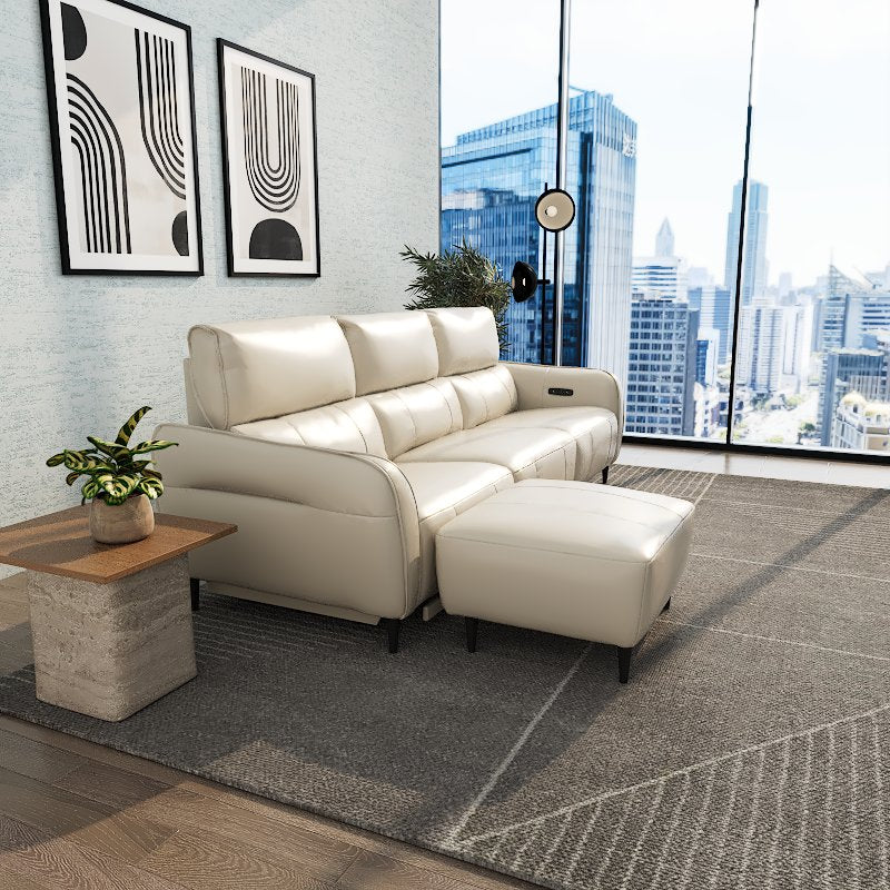 Americana Alpha Pro 2/3-Seater/L-Shape Zero Wall Full Top Grain Leather Electric Recliner Sofa (I) picket and rail