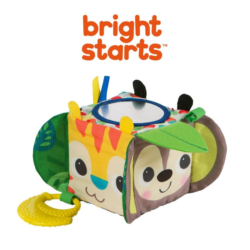 Bright Starts Hide &amp; Peek Block Toy BS11121 picket and rail