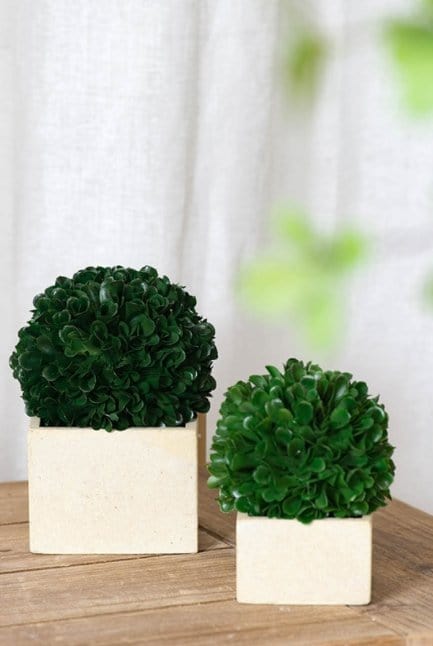 Decorative Plants - Faux Boxwood Boxed Topiary, Petit (29395) picket and rail