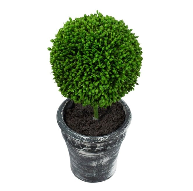 Decorative Plants - Mini Faux Topiaries (29574-BLACK) picket and rail