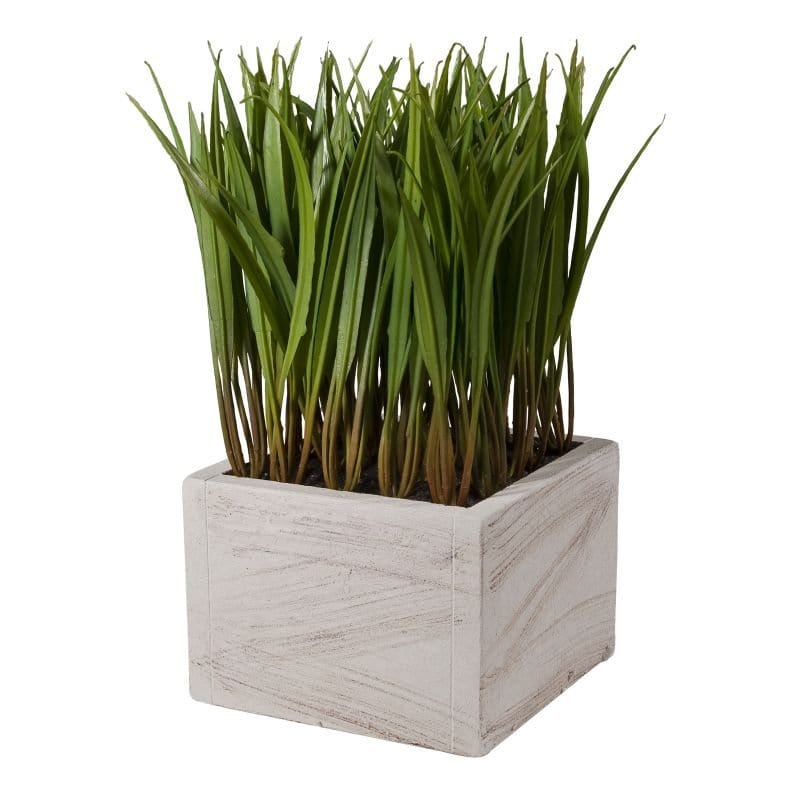 Decorative Plants - Plant In Pot (29258) picket and rail