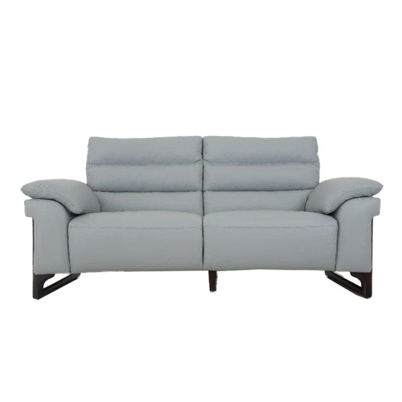 Full Leather 1S/2.5S Americana Sofa (LPP) #5850 picket and rail