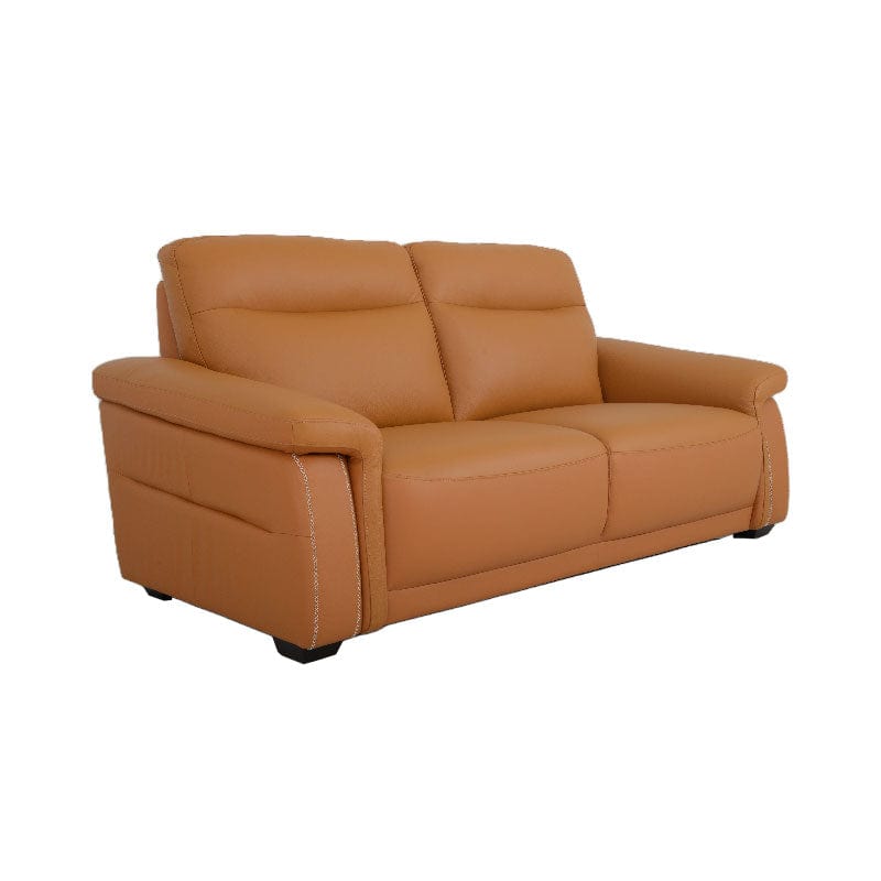 Full Leather 1S/2S/2.5S Americana Sofa (LPP) #5739 picket and rail